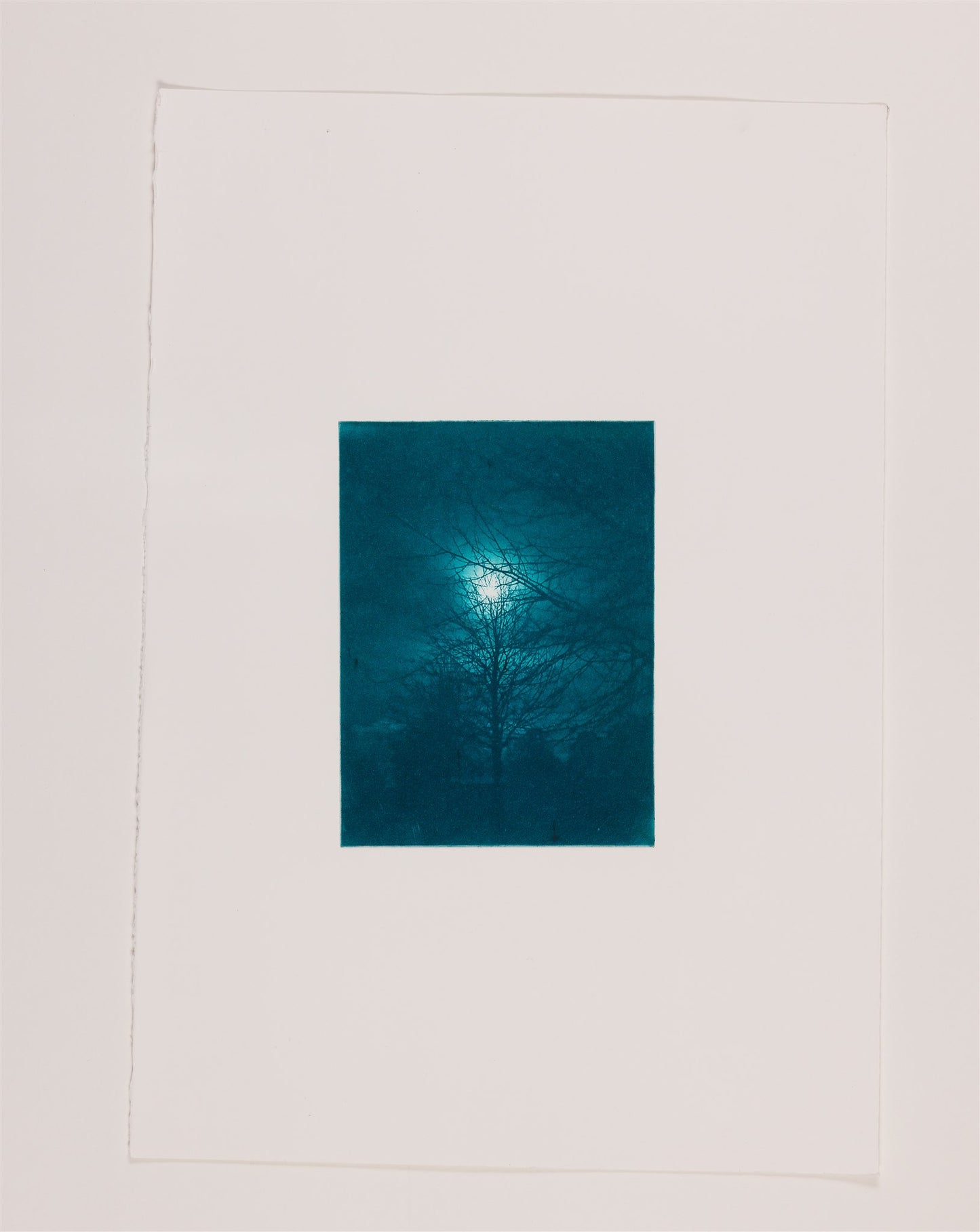 Amal Hope - Few light 2