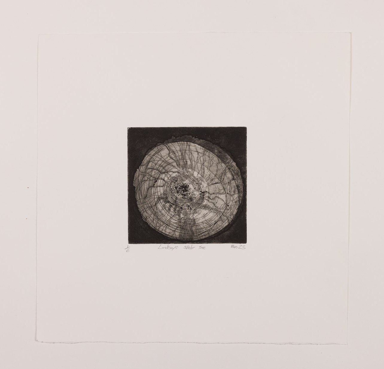 Ben Reilly - Lindsays Spider Tree