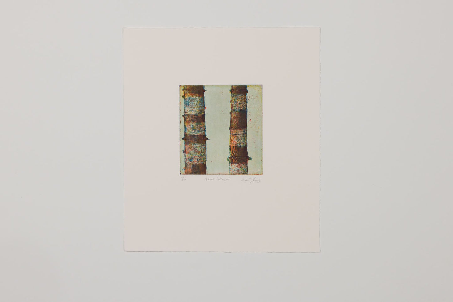 Camilla Fanning - Towers: Palimpsest