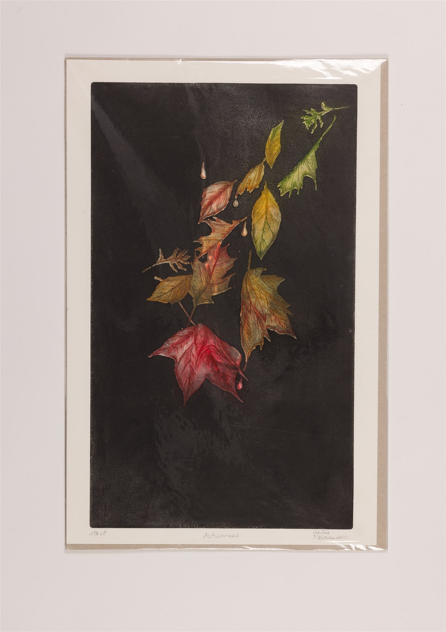 Cecilia D'Alessandro - Autumnus