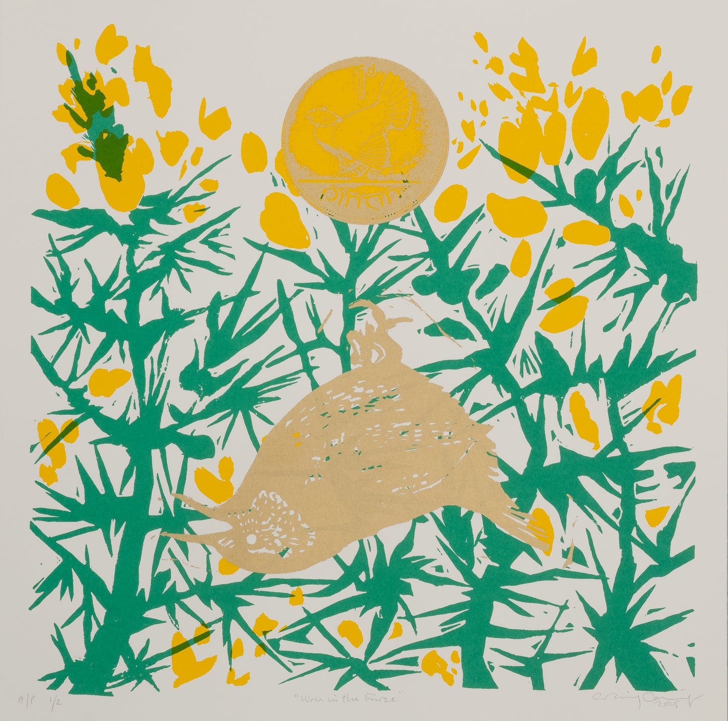 Craig Carry - Wren in the Furze