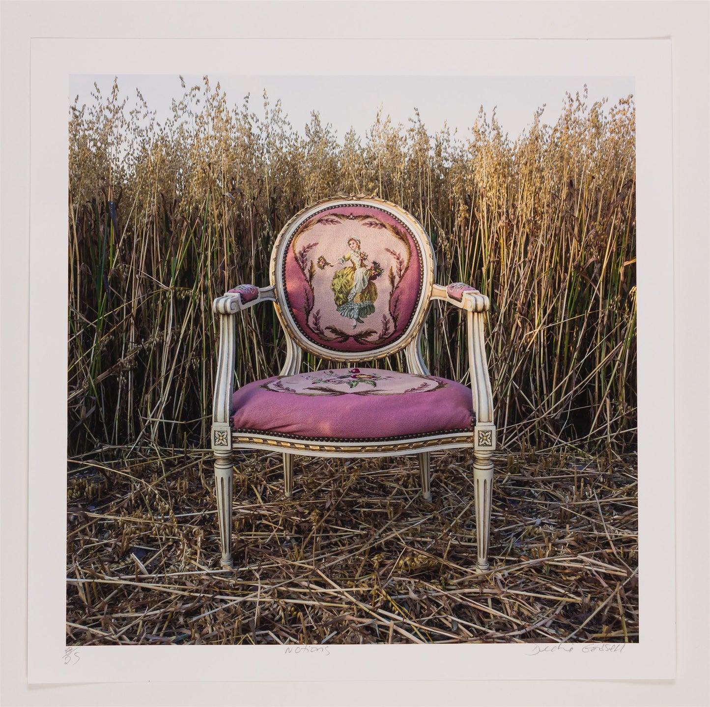 Debbie Godsell - Notions