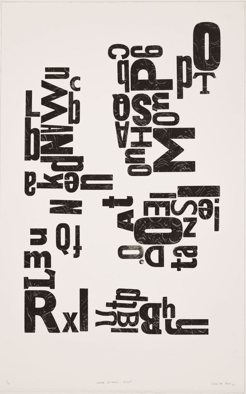 Elize de Beer - Words Written And Enclose In Hand-Marbled Endpapers Ghost