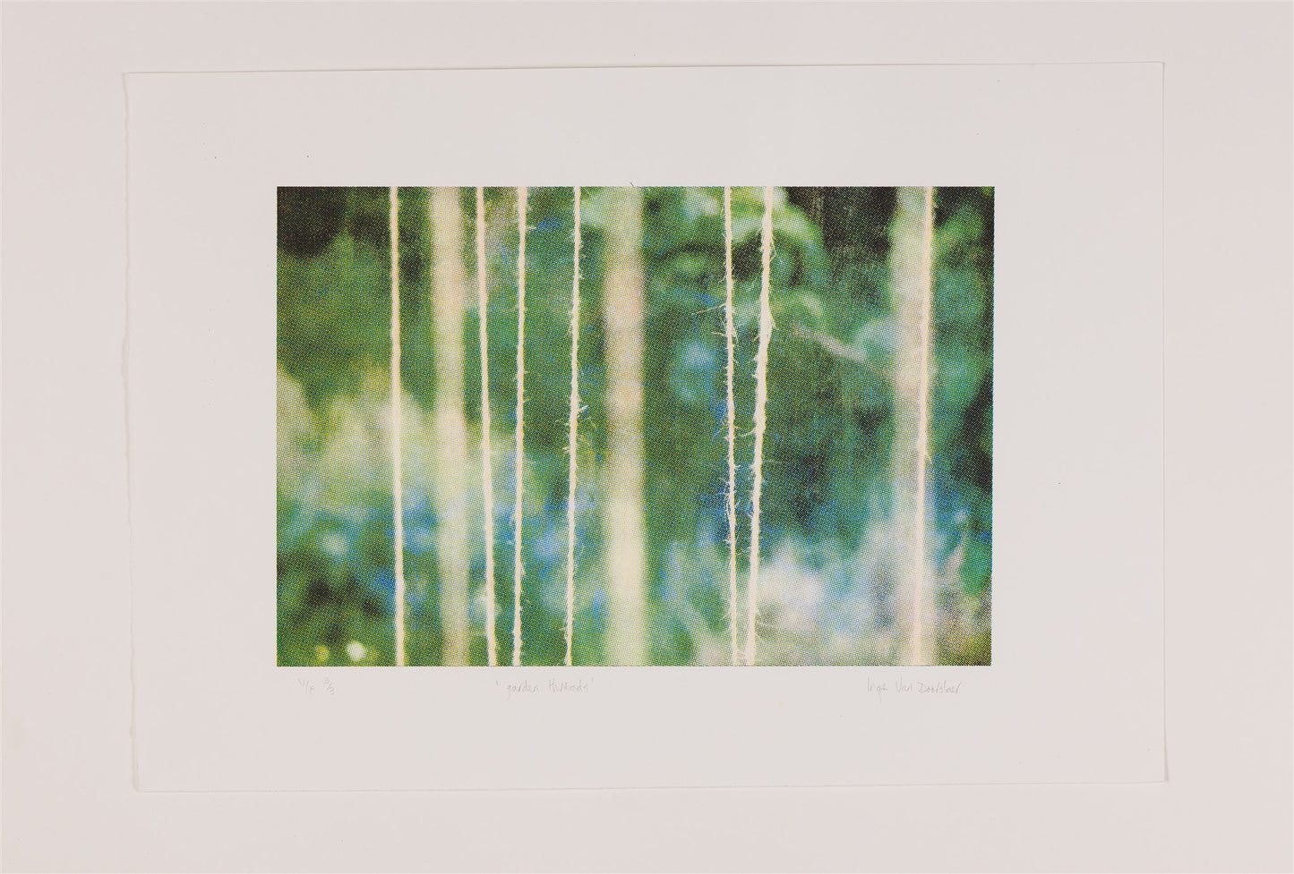 Inge Van Doorslaer - garden threads