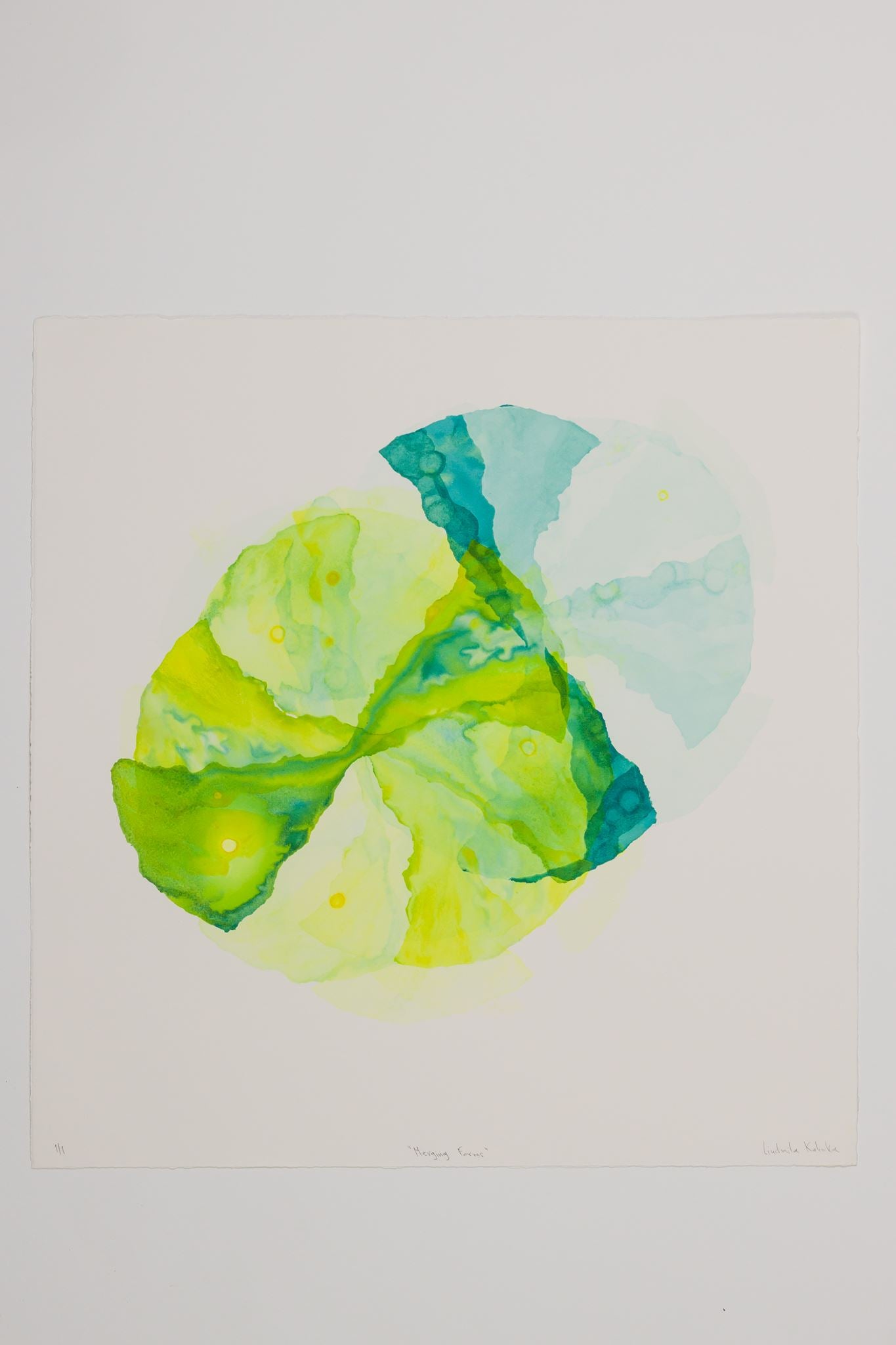 Liudmila Kalinka - Merging Forms