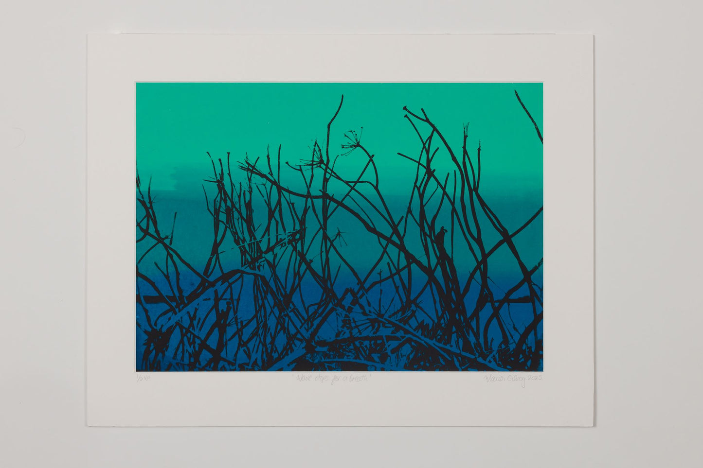 Marion Gilroy - Wave stops for a breath 1