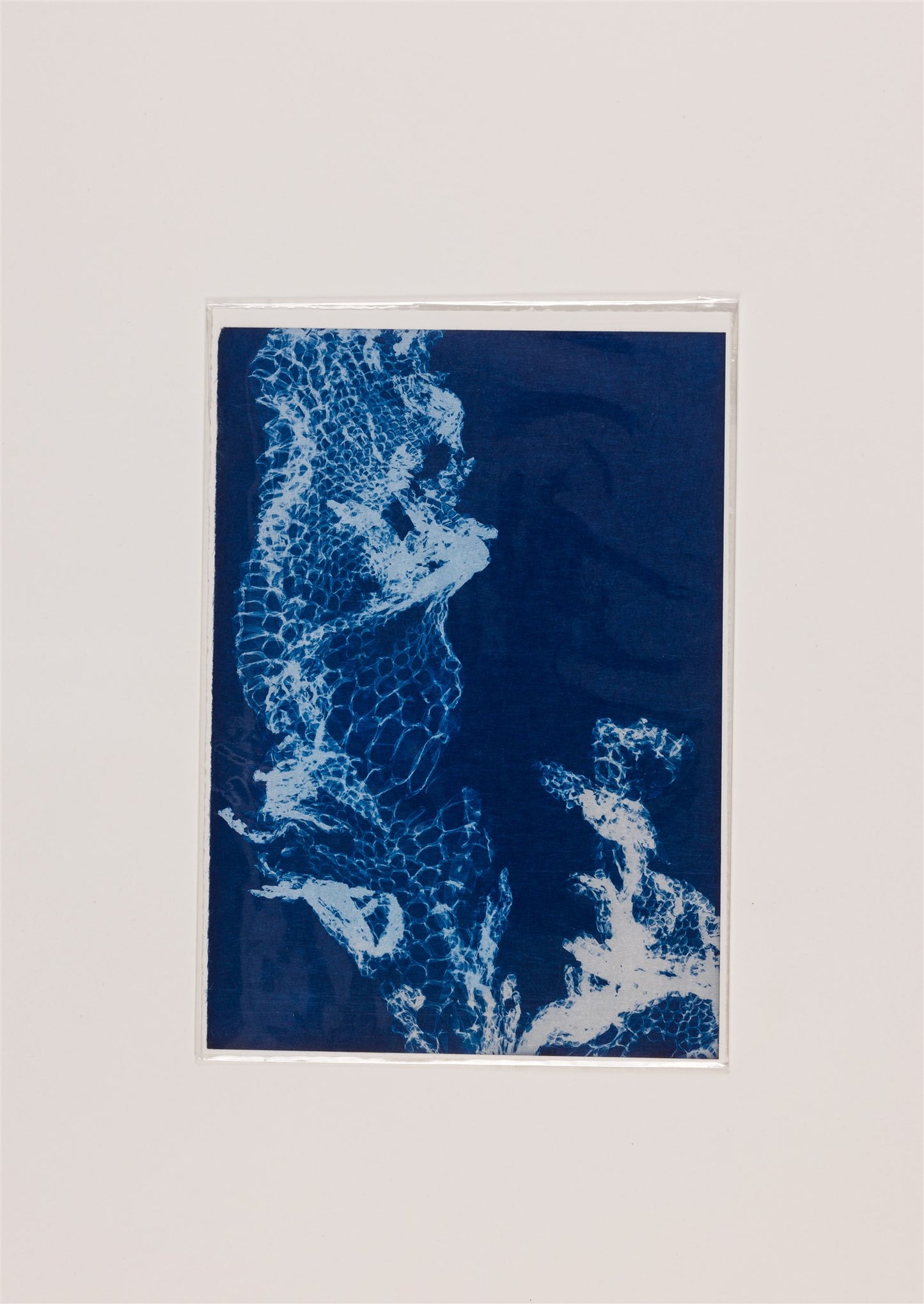 Nicola Sheehan - Gaia III