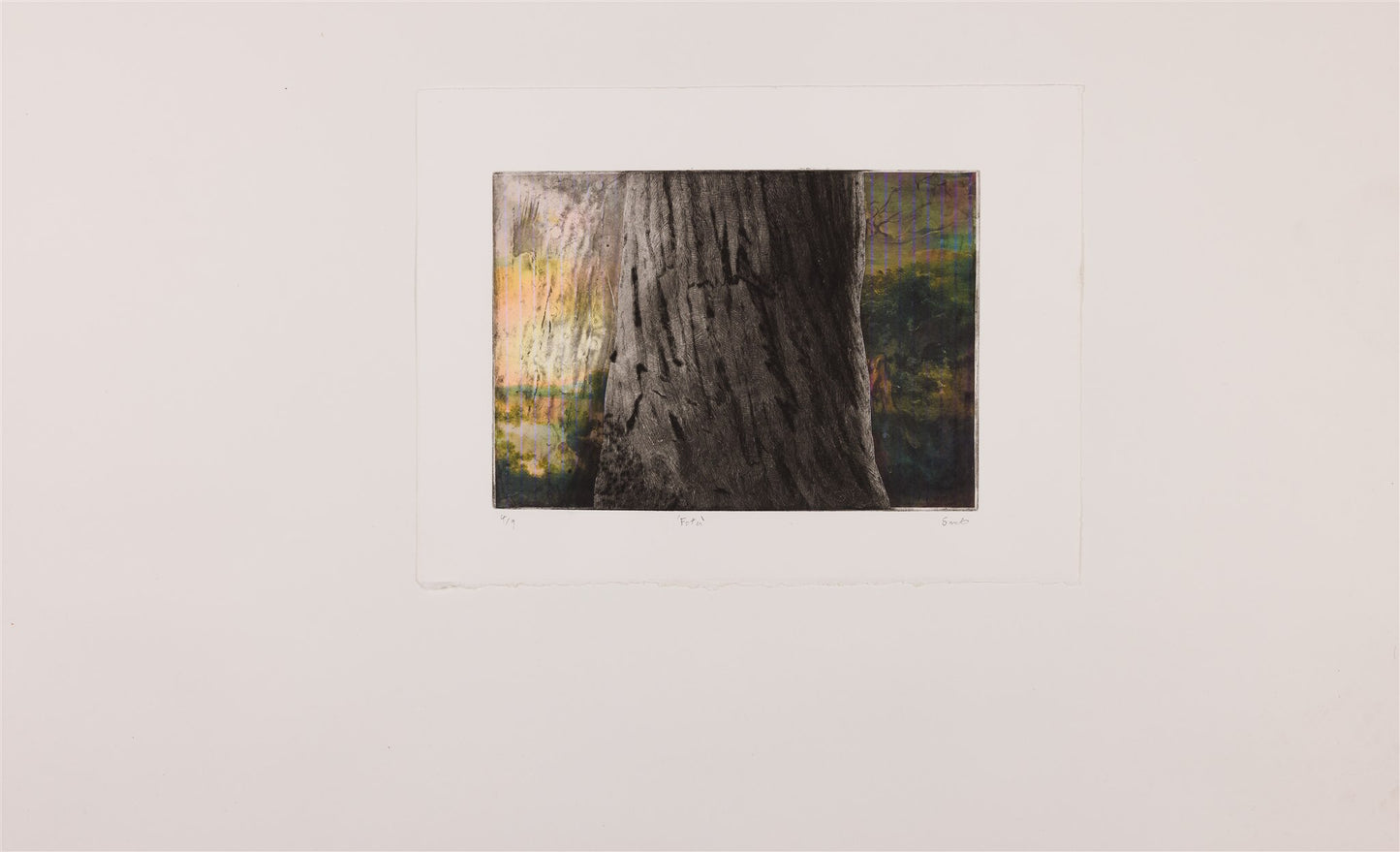 Sean McGuill - Fota