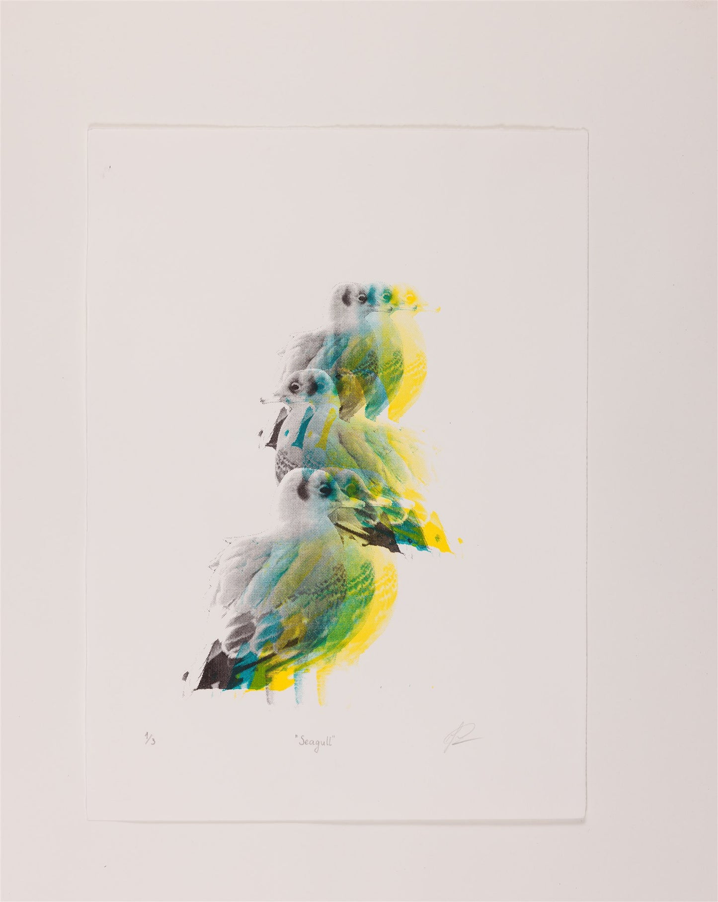 Viktoria Kondratieva - Seagull
