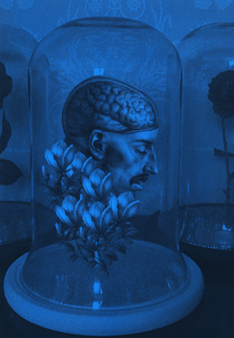 Eimearjean Mc Cormack - I was the dreamer'