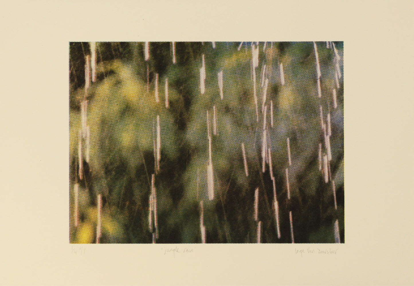 Inge Van Doorslaer - jungle rain