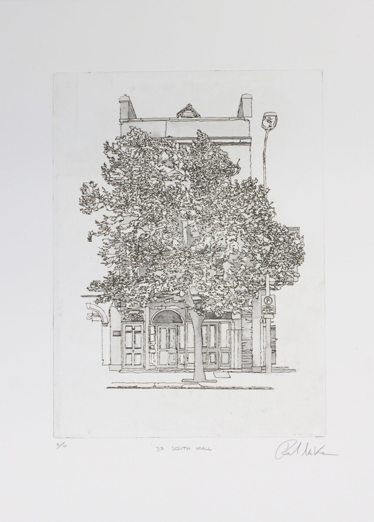 Paul Mc Kenna - 37 South Mall