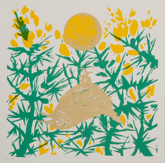 Craig Carry - Wren in the Furze