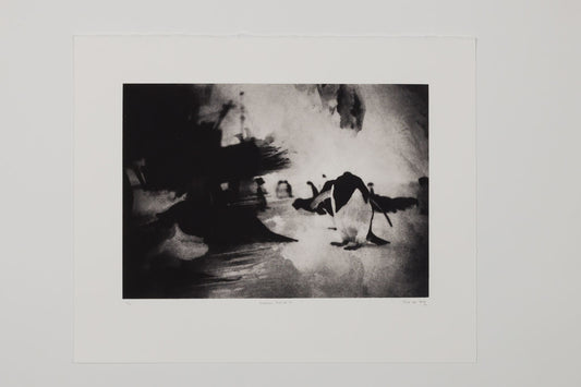 Elize de Beer - Antarctic Archive III