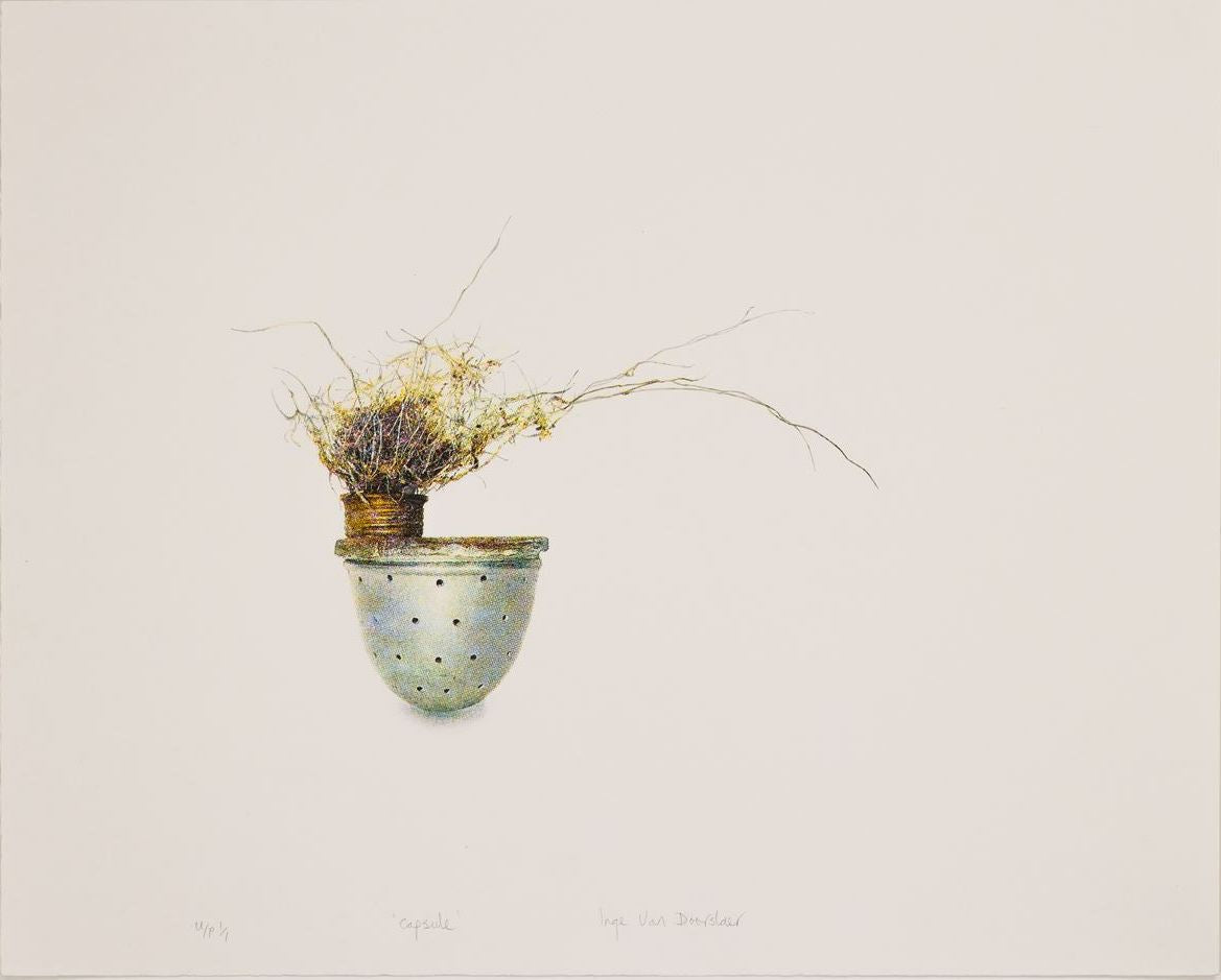 Inge Van Doorslaer - capsule