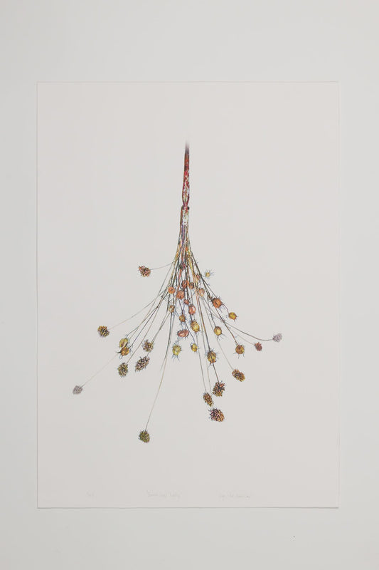 Inge Van Doorslaer - brush over lightly
