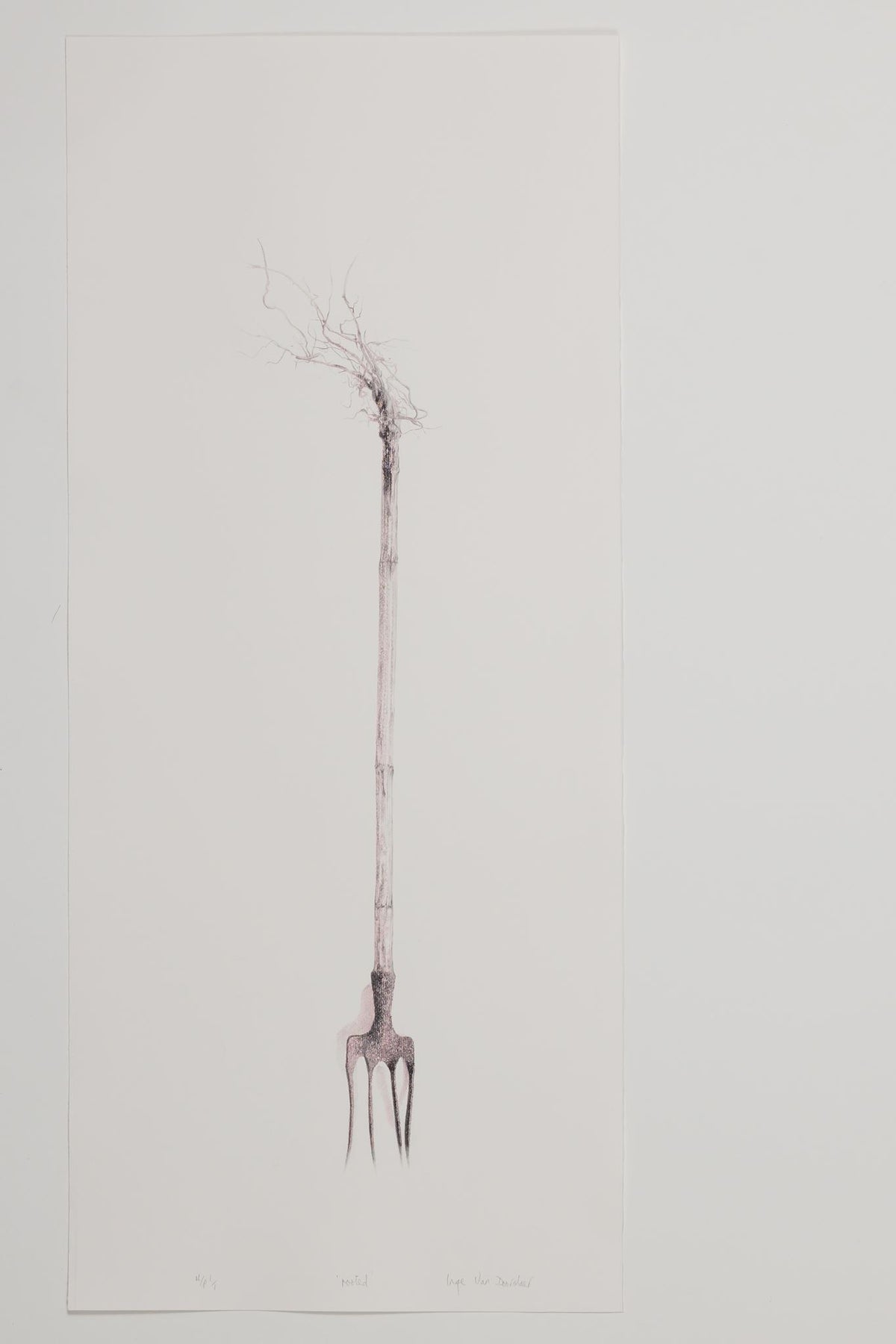 Inge Van Doorslaer -  rooted (coming to rest)