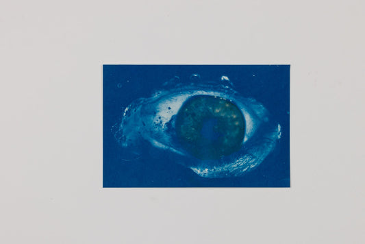 Leslie Allen Spillane - Ocean's Eye