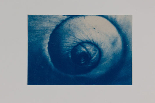 Leslie Allen Spillane - Spiral