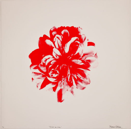 Maeve O'Hare - Sunset tea Rose