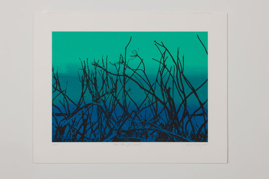 Marion Gilroy - Wave stops for a breath 1