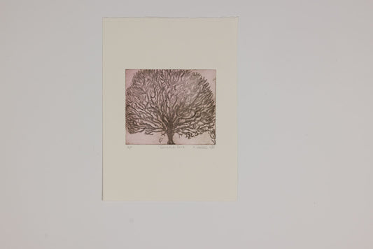 Mary Wallace  - Clissold Park
