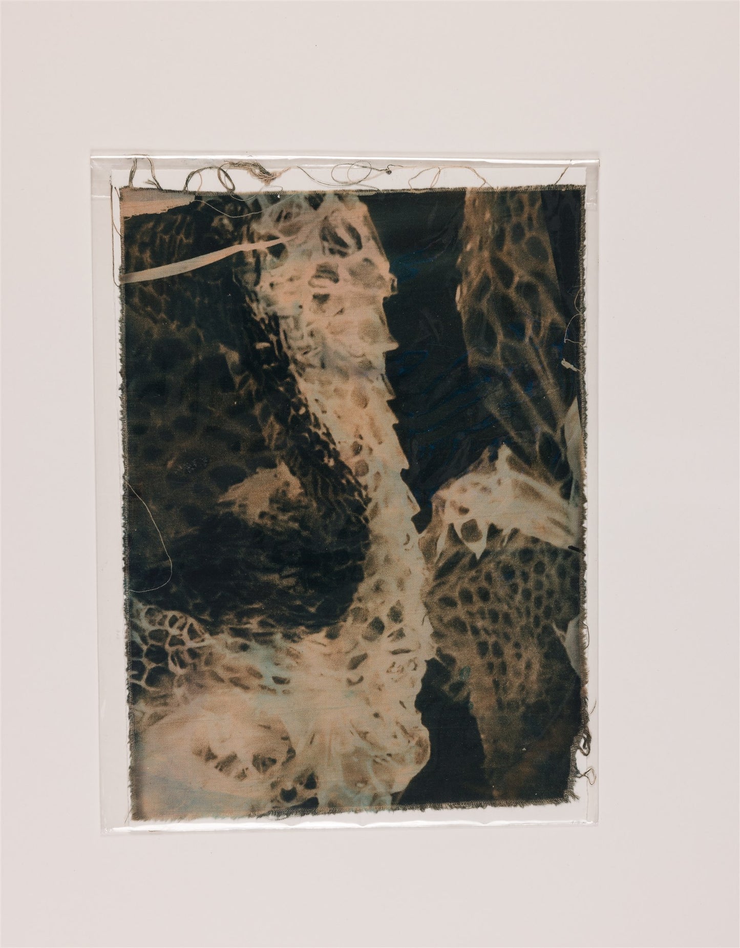 Nicola Sheehan - Gaea