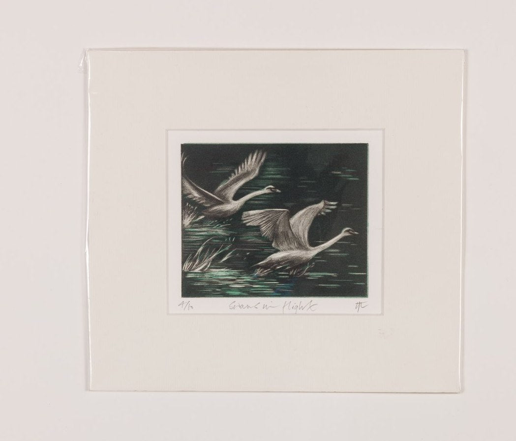 Nikki Tait - Swans in Flight