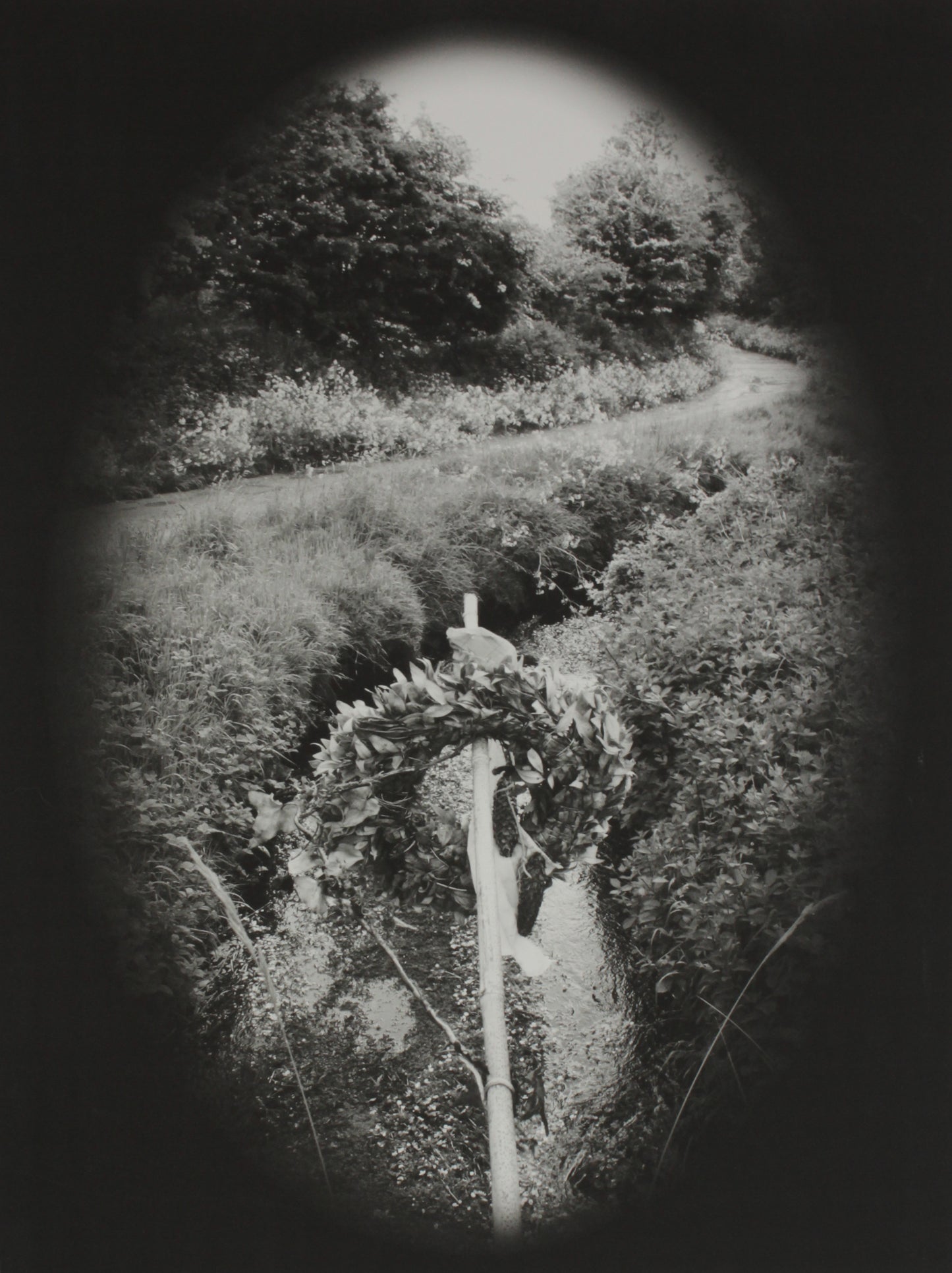 Noelle Noonan  - 52°04'54.9"N 8°44'28.8"W