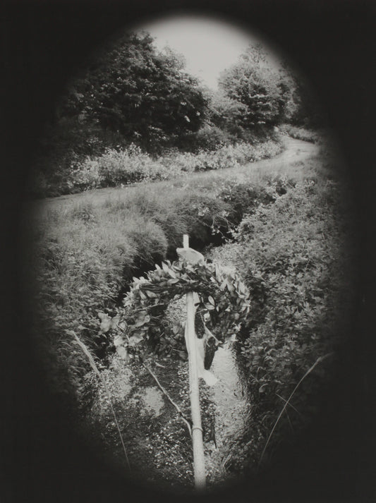 Noelle Noonan  - 52°04'54.9"N 8°44'28.8"W