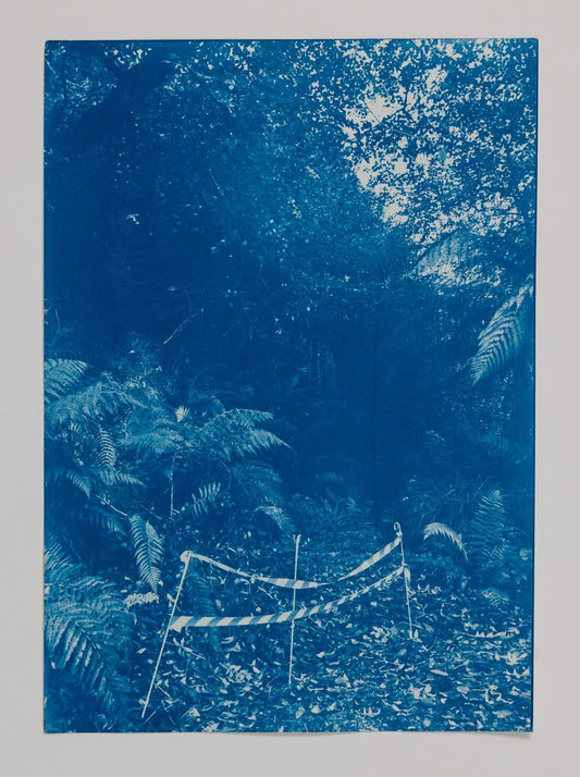 Patrick Penney - Liss Ard Estate/ Nuclear Futures #3
