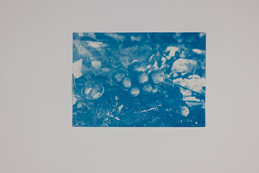 Patrick Penney - Liss Ard Estate/ Nuclear Futures #4