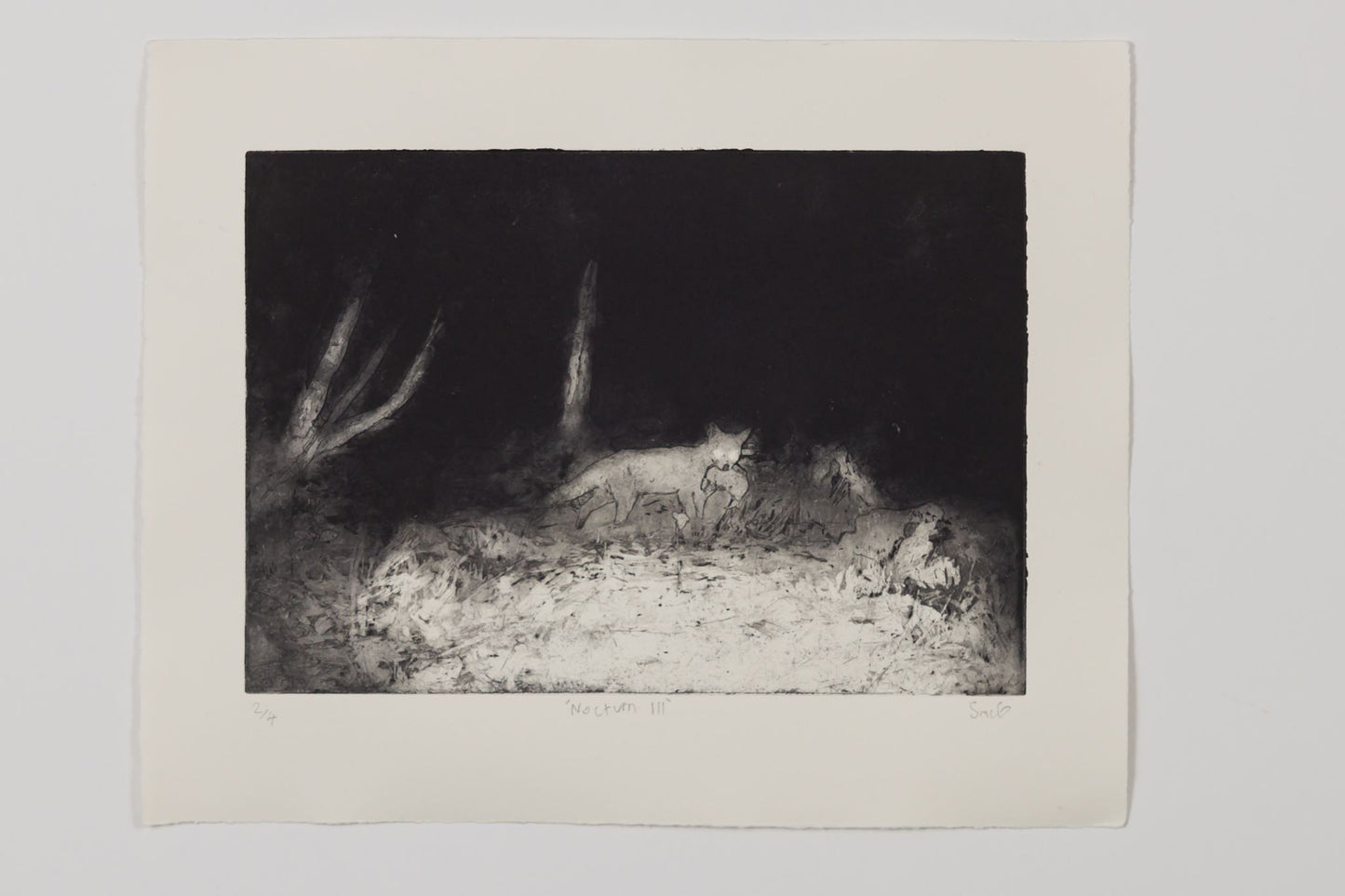 Sean McGuill - Nocturn III