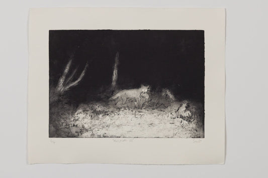 Sean McGuill - Nocturn III