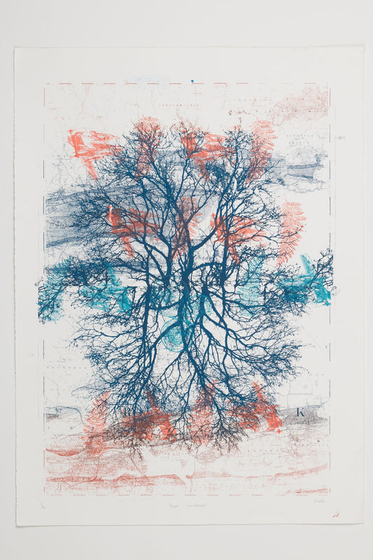 Sean McGuill - Paper Landscape